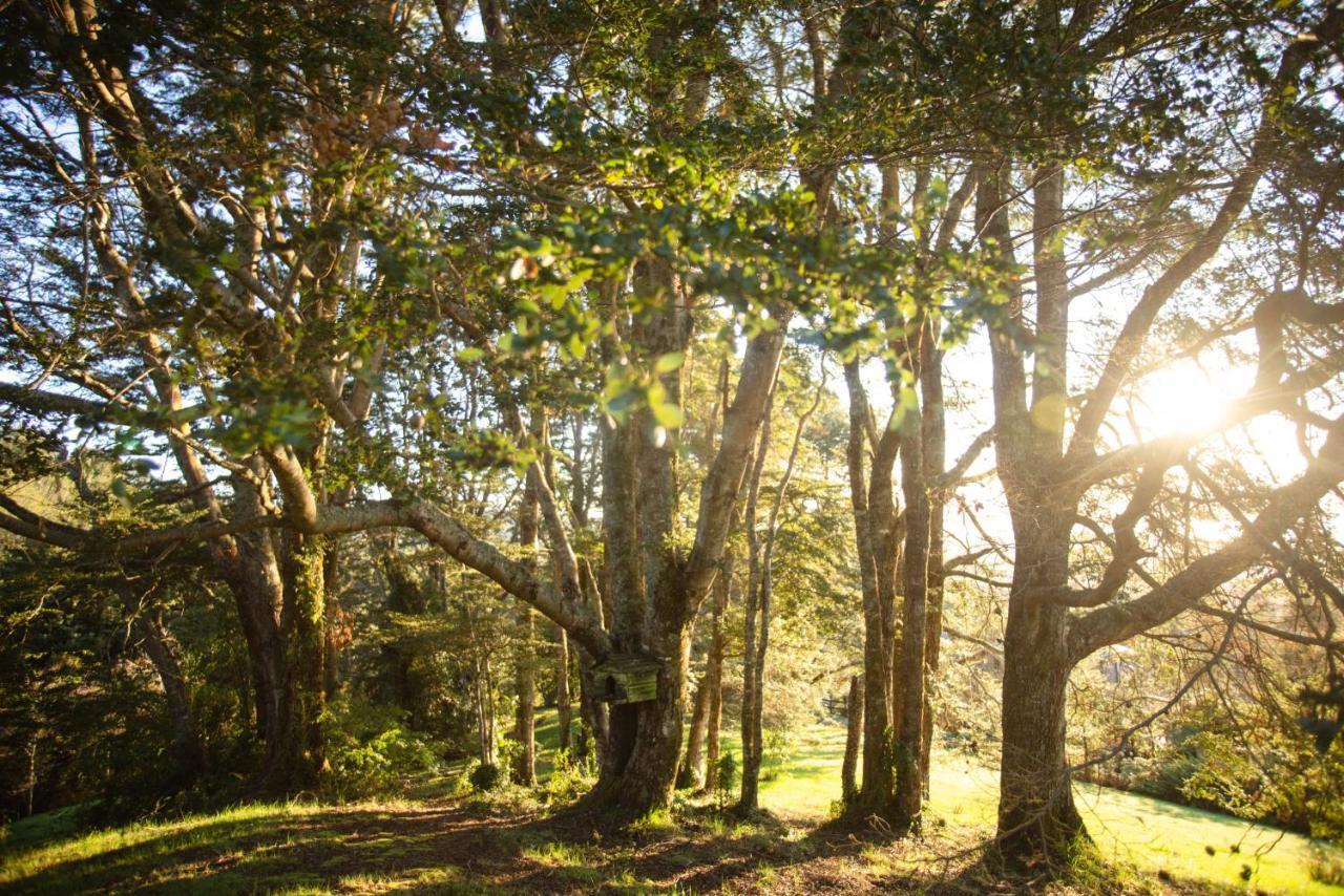 ホテル Meular Chiloe カストロ エクステリア 写真